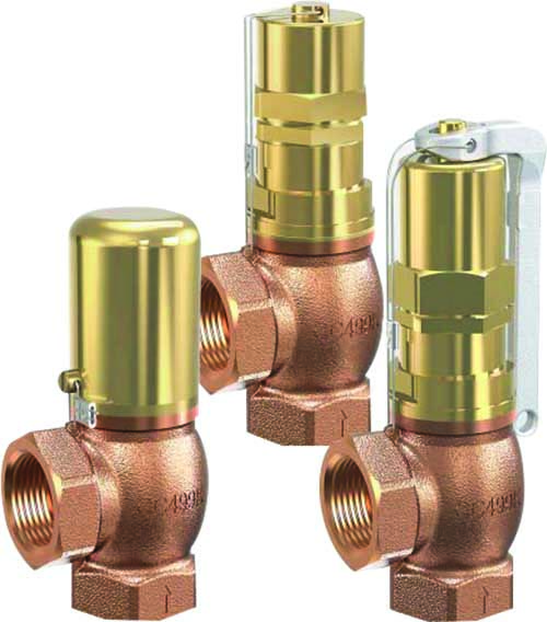 Pressure Relief Valve-Threaded resim